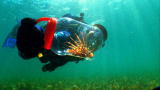 Wild Recon: Lionfish Venom