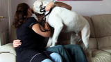 It's Me or the Dog: Jealous Dogs