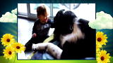 America's Cutest Dog: Baby Laughing at Dog