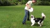 The Zak George Project: Weaving Backwards