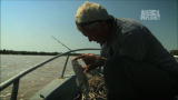play video on Animal Planet