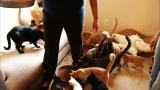 Confessions: Animal Hoarding: What Happened to Shelley