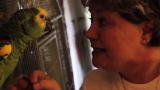 Confessions: Animal Hoarding: Cynthia
