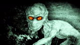 Lost Tapes: Dover Demon