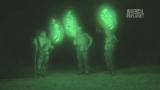 Finding Bigfoot :How to Flush Out a Bigfoot