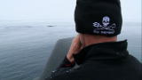 Whale Wars: Humpback Whale Sighting