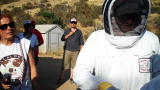 Tania and Mariah: Off the Cuff: Invasion of Bees
