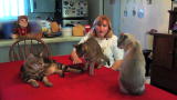 Confessions: Animal Hoarding: Carol