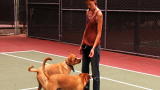It's Me or the Dog: Hiking and Recall Training