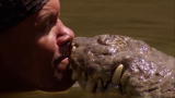 Fatal Attractions: Man Kisses Crocodile on the Lips