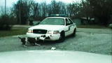 Weird True & Freaky: Dog Attacks Police Car