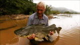 River Monsters: Muscular Amazon Catfish