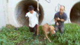 Pit Boss: Dangerous Rescue