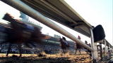 Animal Planet Screening Room :Jockeys