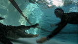 Gator Boys: Gator in My Swimming Pool