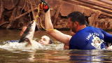 Hillbilly Handfishin': Diving for Catfish