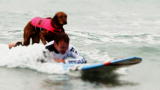 Dog Surfs With Disabled Boy