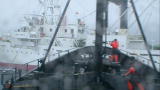 Whale Wars: Intimidation Tactics