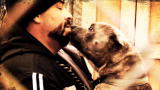 Animal Planet Promos: Pit Bulls and Parolees