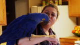 Heidi Fleiss: Prostitutes to Parrots: Help Wanted
