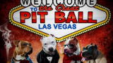Tia's Favorite Moments: The Great Pit Ball