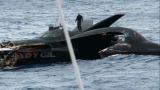 Whale Wars: A Life Destroyed