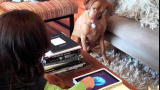 The Daily Treat: Top iPad Apps for Pets