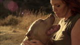 Pit Bulls & Parolees: This Is How We Roll Music Video!
