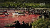 Viking Shores: Trouble in the Faroe Islands