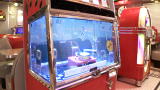 Tanked: Season 1 Reveals!