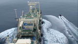 Whale Wars: A Failed Attack
