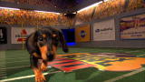 Puppy Bowl VIII: The Starting Lineup