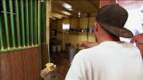 Pit Bulls & Parolees: Pit Bulls and Parolees and Rats, Oh My!