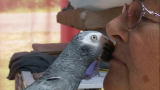 Confessions: Animal Hoarding: Jackie Changes on Her Own Terms