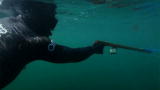 Off the Hook: Extreme Catches: Free Diving Training
