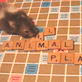 The Planet's Funniest Animals: Viewer Submitted Video: Four -legged Fans