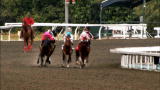 Jockeys: Claiming Races