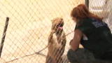 Pit Bulls & Parolees: Fearless