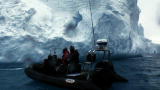 Whale Wars: Stranded at Sea