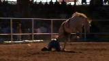 Bronco Ride Ends in Tragedy