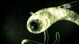 Monsters Inside Me: Really Bad Sushi