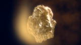 Animal Armageddon: The Next Extinction (Full Episode)