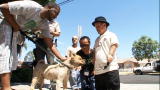 Pit Boss: On Patrol with Animal Control
