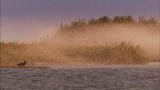 Wild Russia: Billions of Mayflies