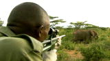 Untamed and Uncut: Baby Elephant Rescue