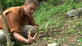 Wild Recon: A Star Tortoise