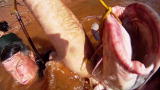 Hillbilly Handfishin': The Business of Noodlin'