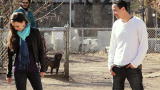 play video on Animal Planet