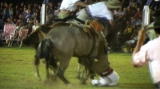 Untamed and Uncut: Horse Tramples Gaucho