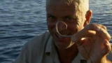 River Monsters: Shark on a Handline